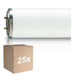 Opakowanie 25x Philips TL-DK 36W - Blacklight | 60cm - Insectkiller