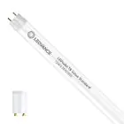 Ledvance Rura LED T8 Value (EM/Mains) Standard Output 15W 1800lm - 865 Światło dzienne | 120cm - Zamienne 36W